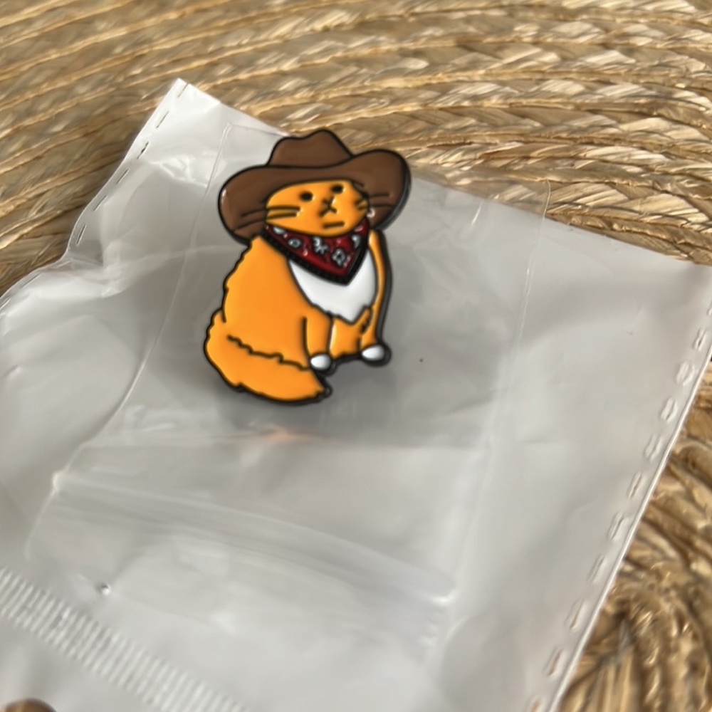 Enamel Funky Fun Cowboy Cartoon Cat Dress Pin Brooch